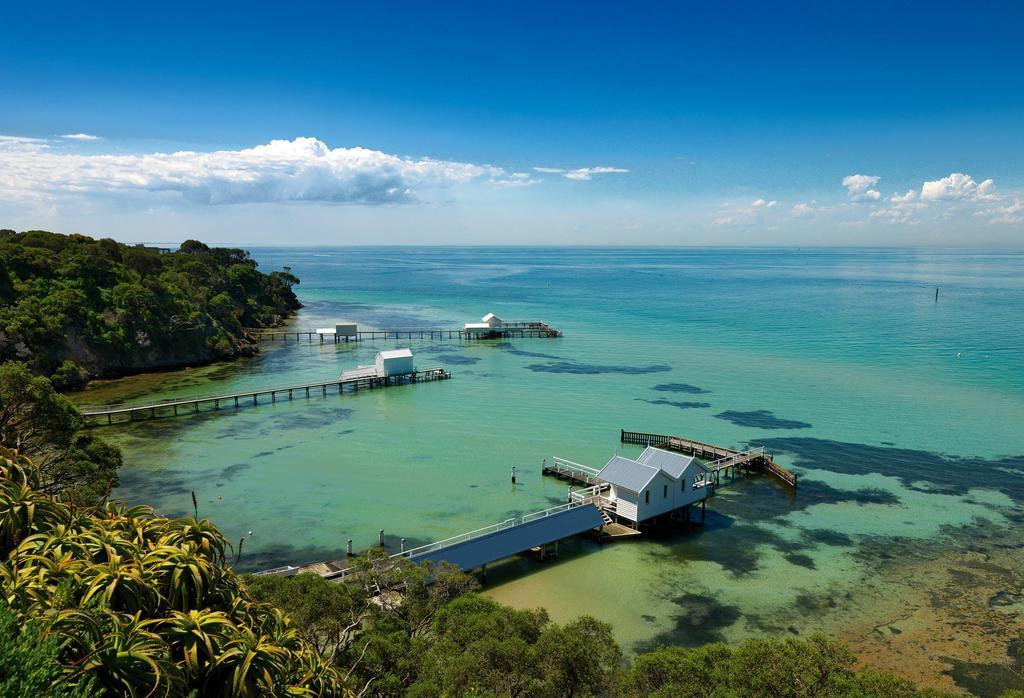 Bayplay Beach Cottage - Pet Friendly Queenscliff Kamer foto